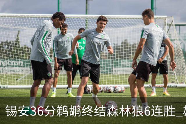 锡安36分鹈鹕终结森林狼6连胜 雄鹿险胜公牛